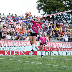Faustball 2