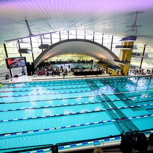 Schwimmen / Stadionbad / 2026