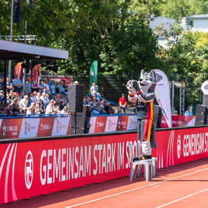Finn, das Finals-Maskottchen beim Flag Football