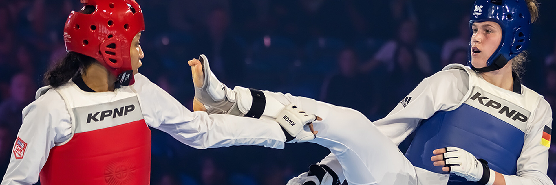 Taekwondo